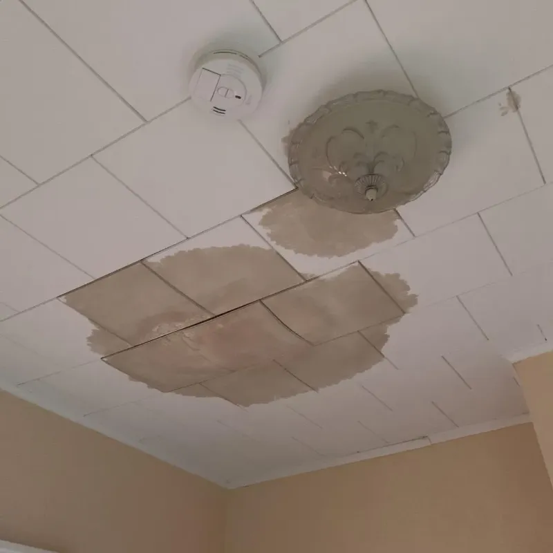Ceiling Water Damage Repair in Bellbrook, OH