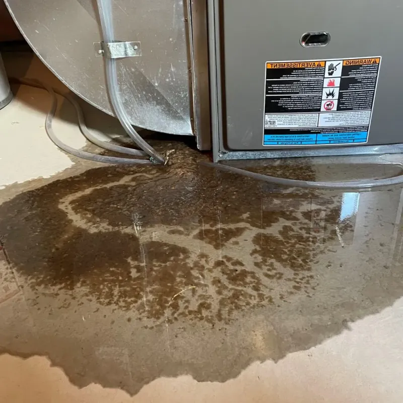 Pipe Burst and Leak Restoration in Bellbrook, OH