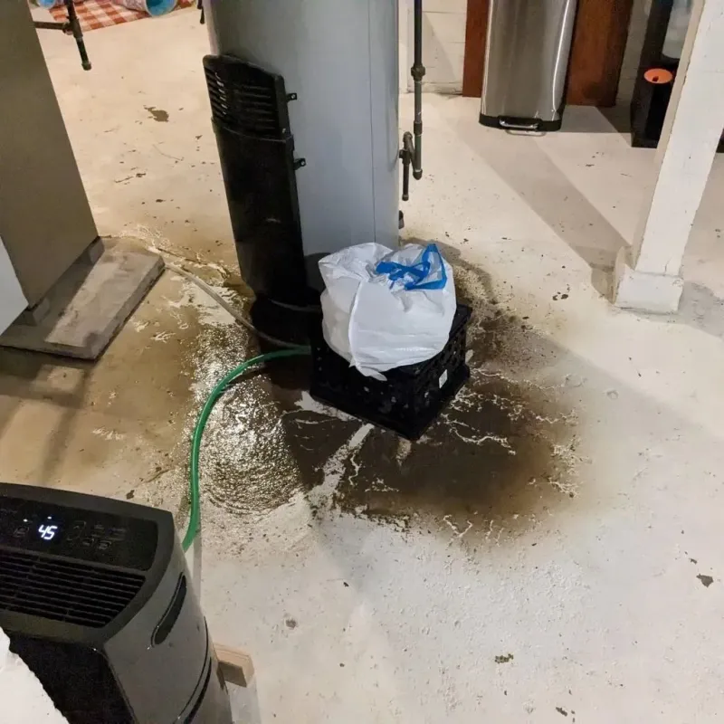 Sewage Backup Cleanup Service in Bellbrook, OH